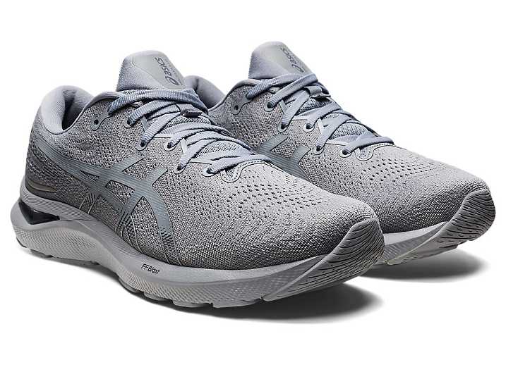 Asics GEL-CUMULUS 24 Moški Tekaški Čevlji Sive | Slovenija-1698572