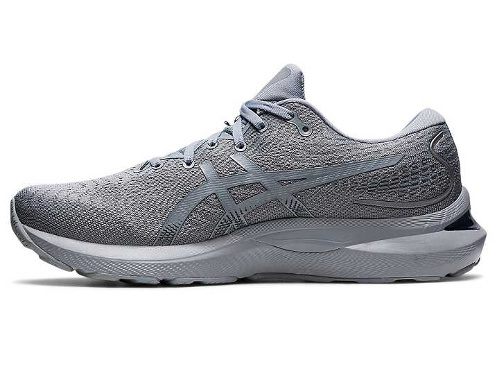 Asics GEL-CUMULUS 24 Moški Tekaški Čevlji Sive | Slovenija-1698572