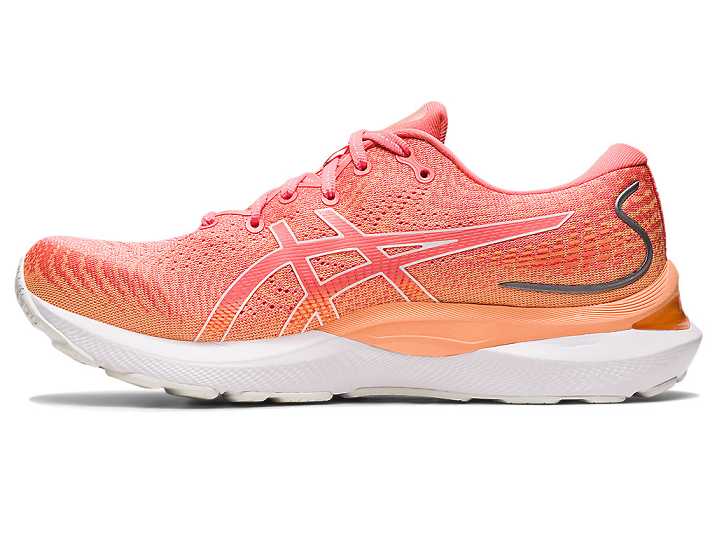 Asics GEL-CUMULUS 24 Ženske Tekaški Čevlji Oranžne Bele | Slovenija-0631274