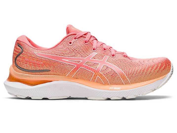 Asics GEL-CUMULUS 24 Ženske Tekaški Čevlji Oranžne Bele | Slovenija-0631274