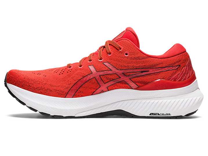 Asics GEL-KAYANO 29 Moški Tekaški Čevlji Roza Črne | Slovenija-2401769