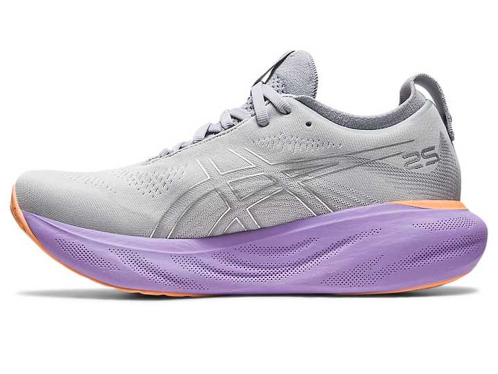 Asics GEL-NIMBUS 25 Ženske Tekaški Čevlji Sive Srebrne | Slovenija-6853970